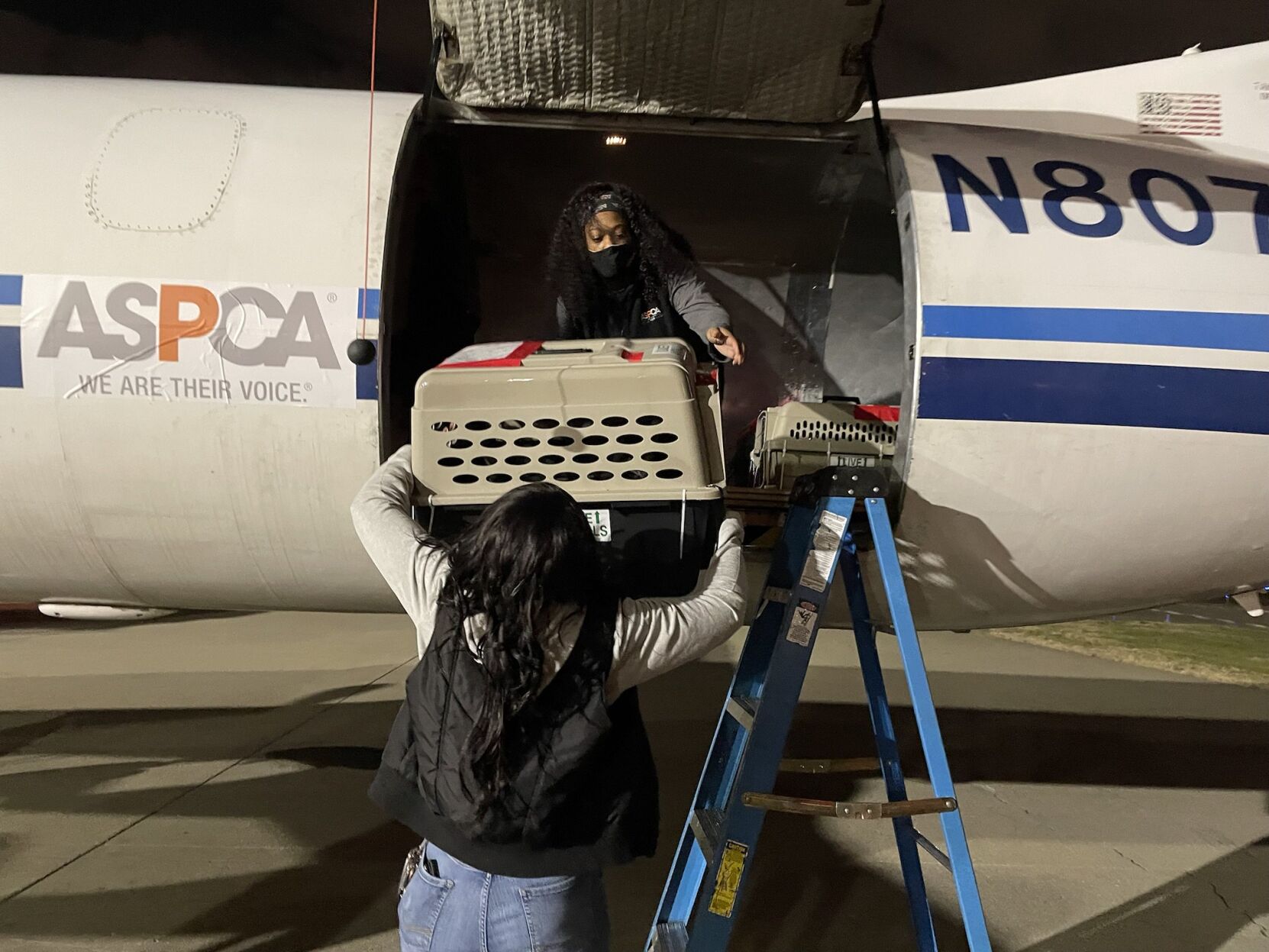 KHS and ASPCA help relocate 100 cats after tornado hits Western KY